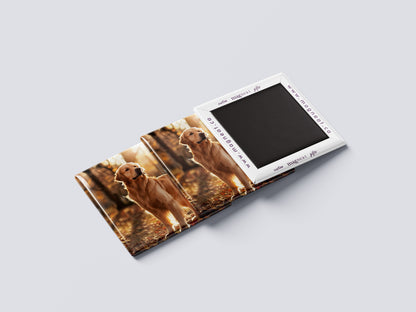 Golden Retriever Magnet – Cute Pet