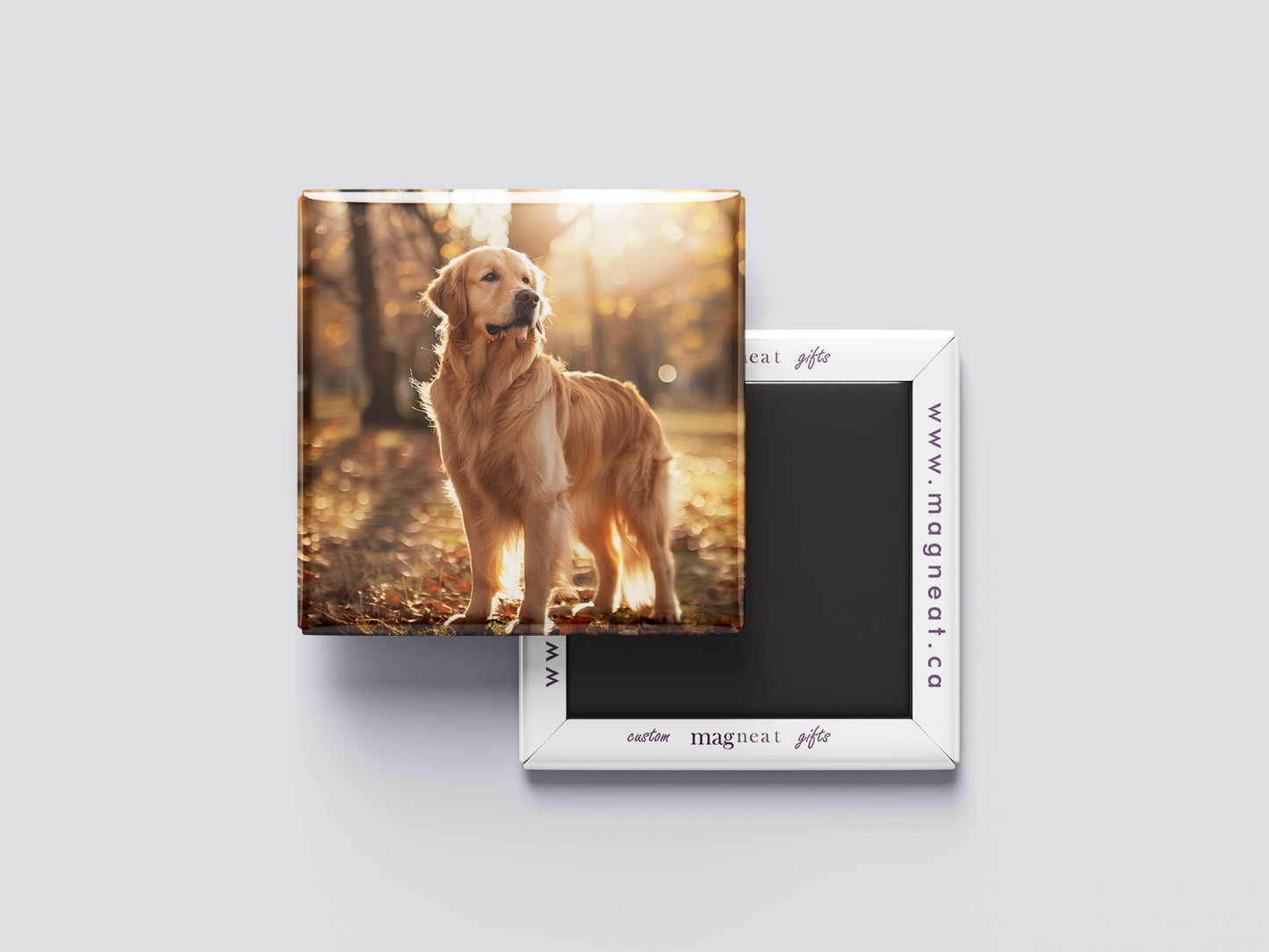 Golden Retriever Magnet – Cute Pet
